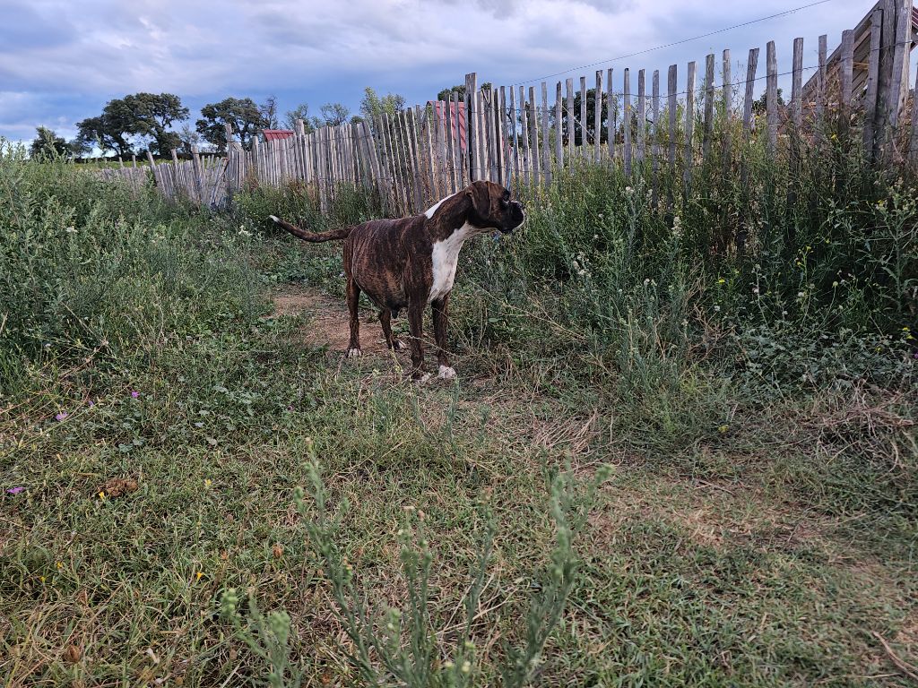 Une vy Du Soleil De L'aurion