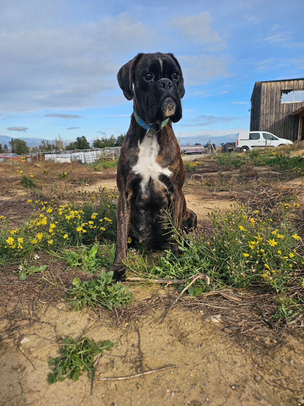 Valmanya  Du Soleil De L'aurion
