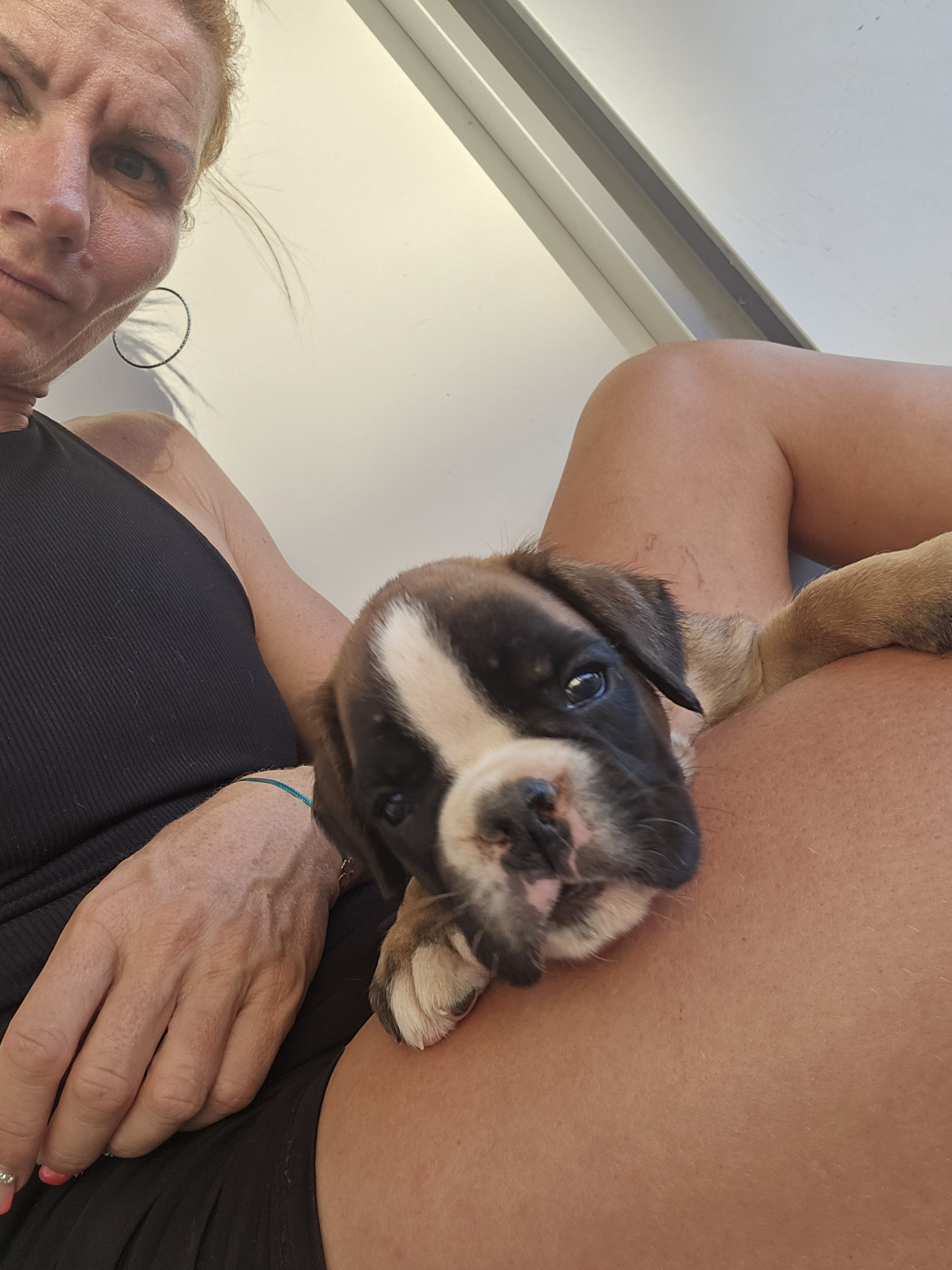Du Soleil De L'aurion - Chiots disponibles - Boxer